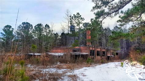 Look Inside Abandoned School Adorned with Graffiti | Media Drum World