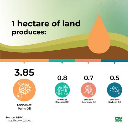 How Can Palm Oil Be Grown Sustainably? - Musim Mas