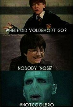 Funny Harry Potter Memes Voldemort Nose