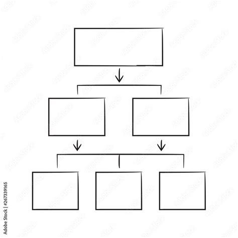 hand drawn hierarchy chart, diagram template white background Stock ...