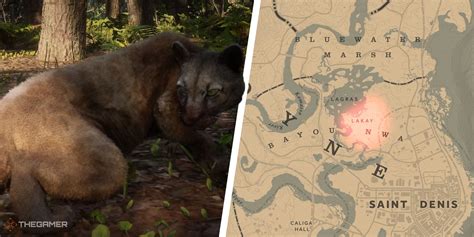 Red Dead Redemption 2 Where To Find Panthers - Margaret Wiegel