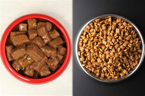 Wet vs. Dry Dog Food: Pros, Cons & What to Choose | Pet Keen