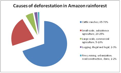 Deforestation in the Amazon: Causes of Deforestation