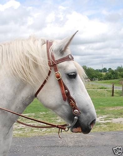 Ultimate Draft Horse Bridle black or brown | Frontier Equestrian|Draft Horse Saddle|Horse ...