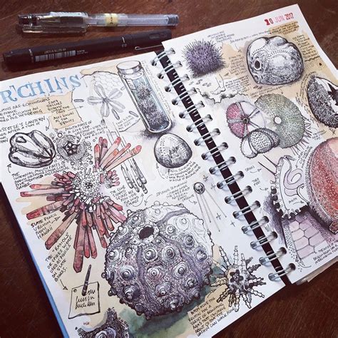 Get Inspired by These 50+ Sketchbook Ideas to Elevate Your Artistic ...