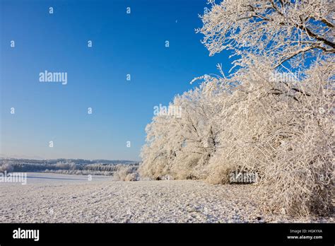 Winter Landscape - Bavaria, Germany Stock Photo - Alamy