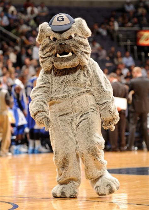 Georgetown Hoyas mascot | NCAA mascots in action - Yahoo News Canada