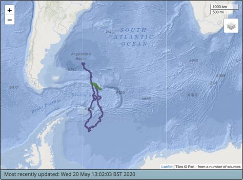 Migration of the Southern Right Whales | Polarjournal