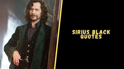 Top 15 Memorable Quotes From Sirius Black To Give A Dose Of Inspiration