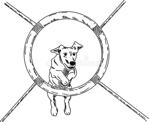 Dog Agility Stock Illustrations – 6,278 Dog Agility Stock Illustrations ...