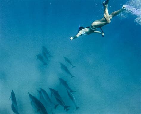 Oahu, Hawaii. Swimming with wild spinner dolphins. Bucket list. | Oahu ...