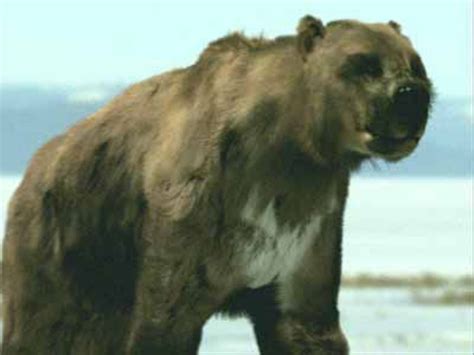 The Short Faced Bear | HubPages