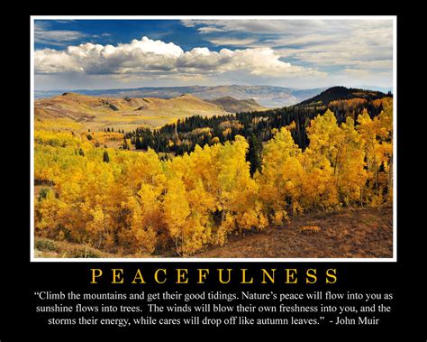 Peacefulness John Muir Quote | Ryan Houston | Flickr