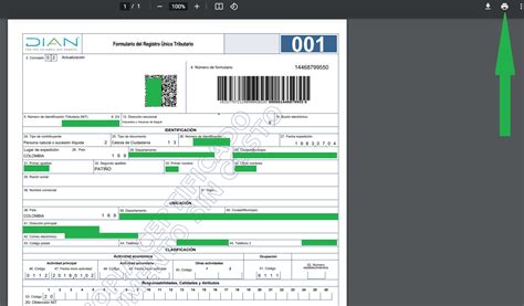 Cómo imprimir el RUT - DIAN Actualizado ️ agosto 2023