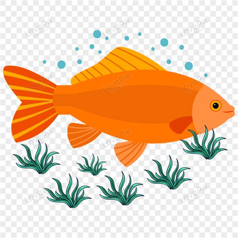 Cute Cartoon Fish Illustration PNG Image And Clipart Image For Free Download - Lovepik | 450155628