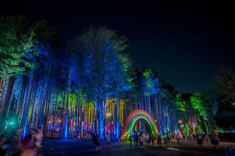 Pin by Ch Art on 16 | Electric forest festival, Forest festival ...