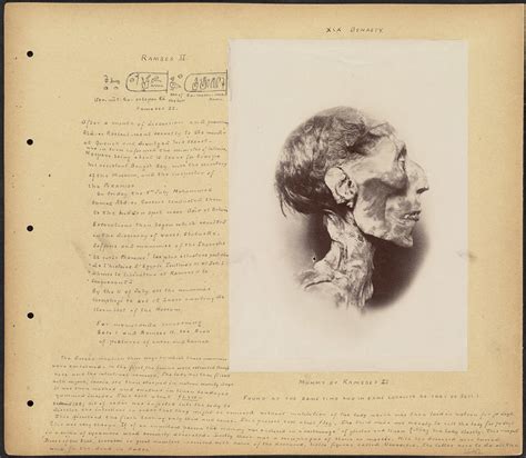 Mummy of Ramses II | BPLDC no.: 08_04_000043 Page Title: Mum… | Flickr