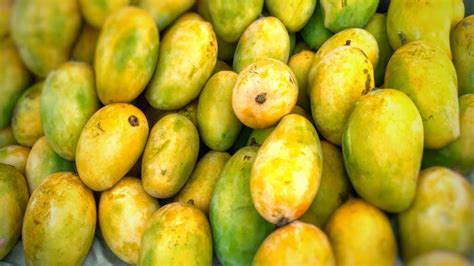 Different Types of Mangoes in Pakistan - Urdu Wisdom