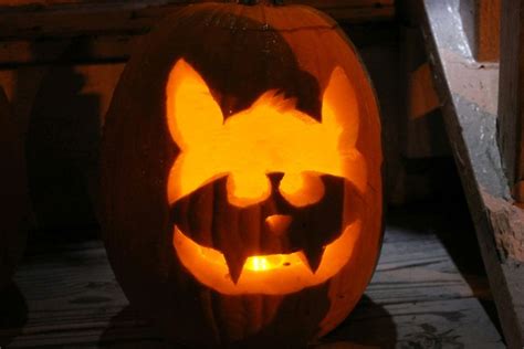 bat pumpkin | Pumpkin carving, Halloween items, Pumpkin