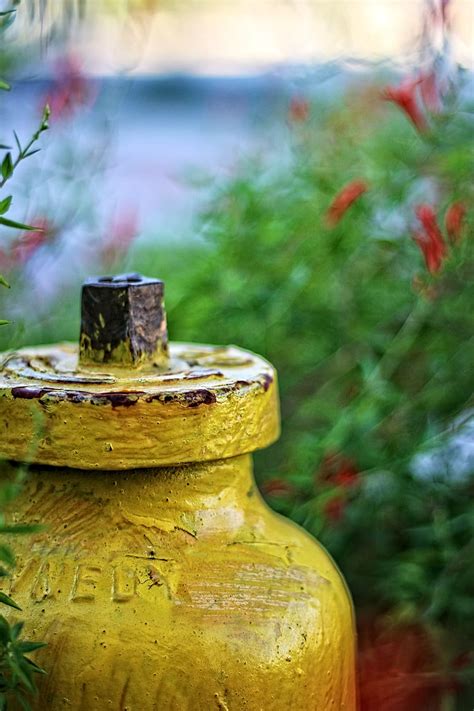 HD wallpaper: yellow, texture, fire hydrant, focus on foreground, day, metal | Wallpaper Flare