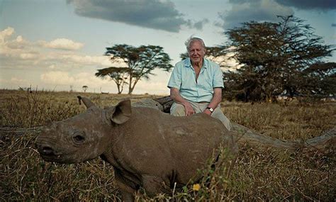 The spectacular scenery of David Attenborough's Africa | David ...