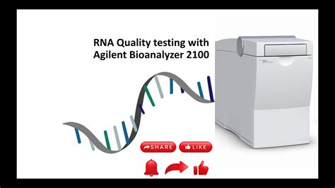 RNA quality testing with Agilent 2100 Bioanalyzer - YouTube