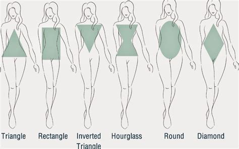 How to correctly draw female body types (basically just hourglasses but a little different ...