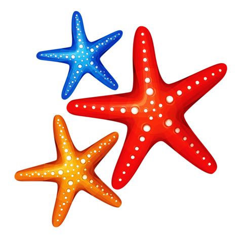 Starfish Clip art - starfish png download - 800*796 - Free Transparent Starfish png Download ...