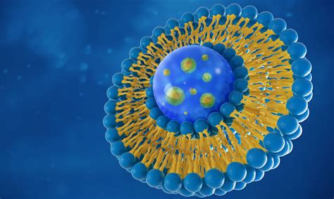 Ronavax Roulette: Issues with Lipid Nanoparticles (Part One) — Hive