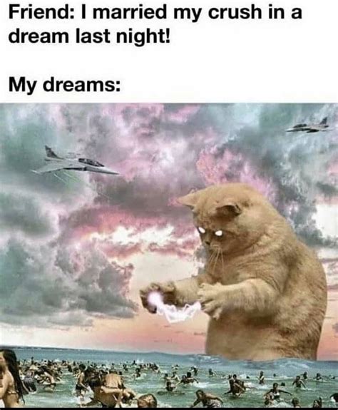 The best Dreaming memes :) Memedroid