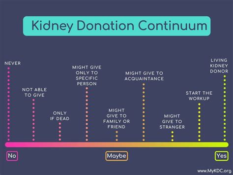 What is the Kidney Donation Continuum? – Kidney Donor Conversations