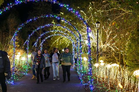 State Botanical Garden annual light show continues to blossom - UGA ...