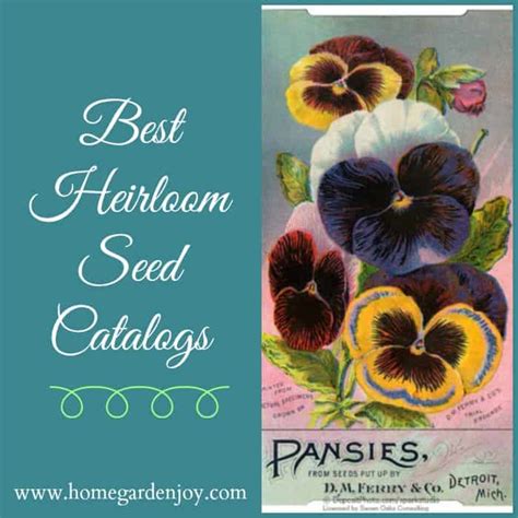 Best Heirloom Seed Catalogs – Home Garden Joy