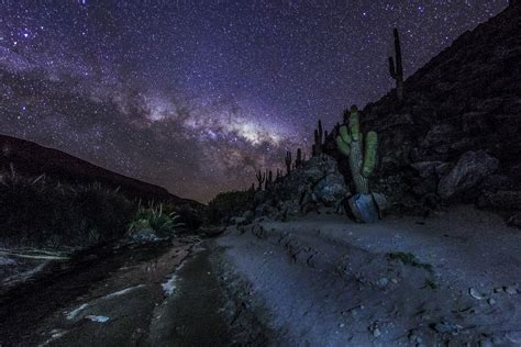 Desert Night Sky Cactus | Image Wallpaper Collections