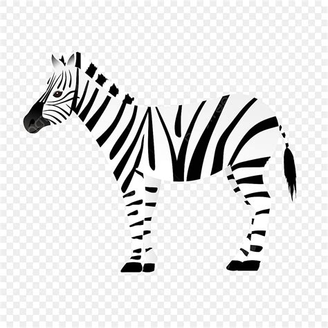 Zebra Stripes Vector Art PNG, Zebra Realistic Style Black And White Stripes, Zebra Clipart, Side ...