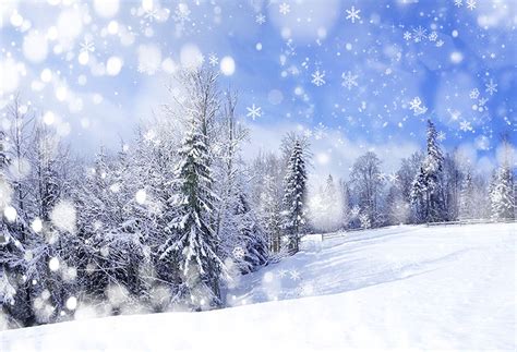 snow scenery photo backdrop for kids winter snow forest photography ba ...