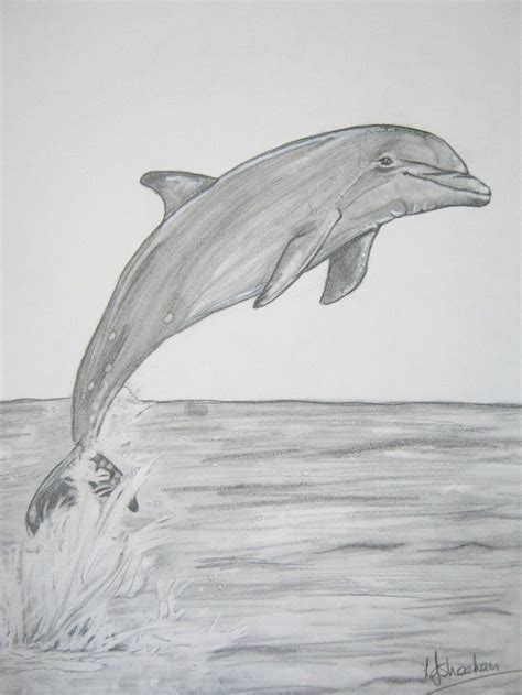 Dolphin A4 graphite, | Easy pencil drawings, Dibujos de animales sencillos, Dibujos de arte hermosos