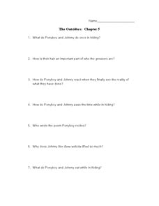 The Outsiders: Chapter 5 Lesson Plan for 7th - 10th Grade | Lesson Planet