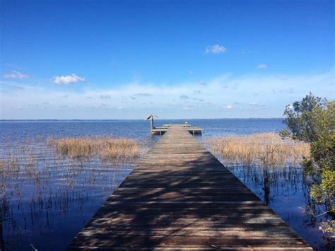 A Visit to Lake Waccamaw State Park - Cape Fear Family Magazine