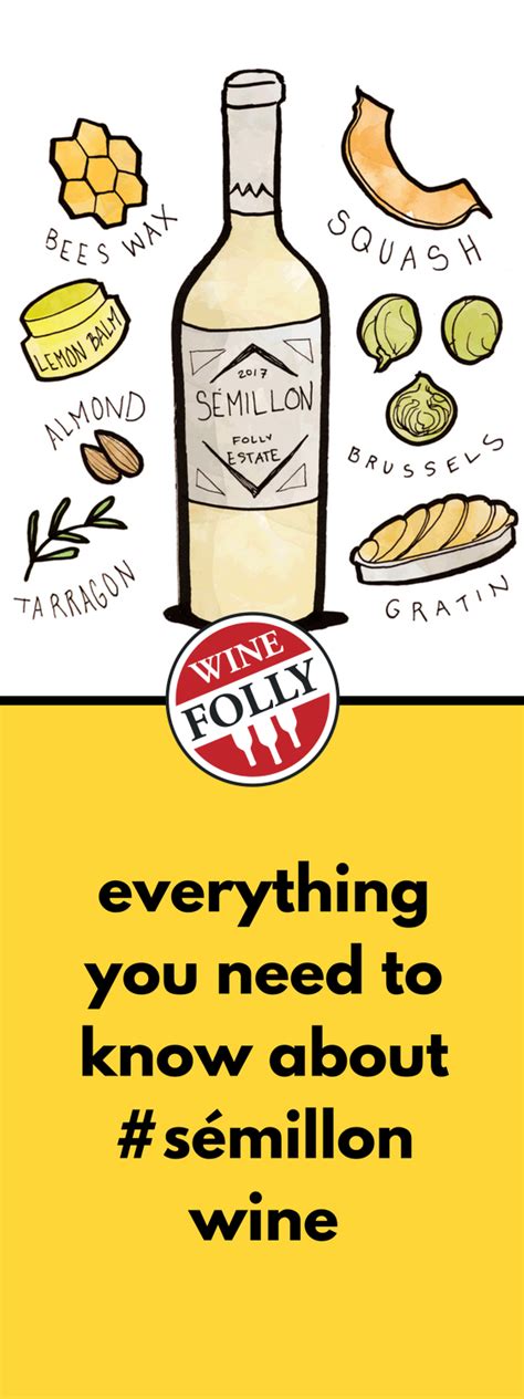 Semillon Wine: France's 3rd Most Important White | Wine Folly | Semillon, Wine folly, Wine food ...