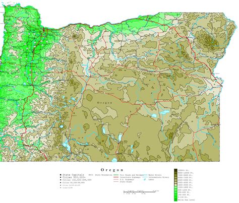 Laminated Map - Contour elevation Map of Oregon Poster 20 x 30 ...