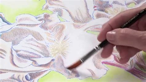 Preview | Watercolor Pencil Techniques: How to Paint Flowers with Kristy Kutch - YouTube