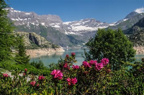 Premium Photo | Swiss alps landscape