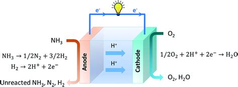 Recent progress in ammonia fuel cells and their potential applications - Journal of Materials ...