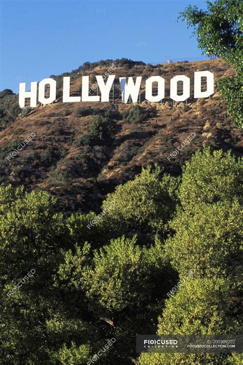 Hollywood Sign at hills of Los Angeles, California, USA — green ...