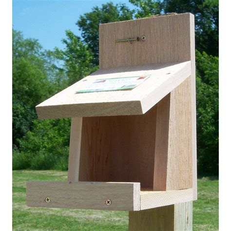 10 Best Robin Bird Houses for Your Garden: Top Picks and Buying Guide - Hummingbirds Plus