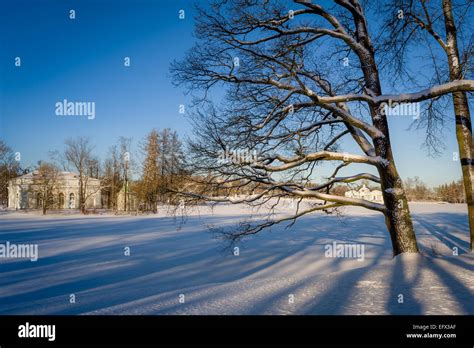 Catherine palace winter palace catherine hi-res stock photography and ...