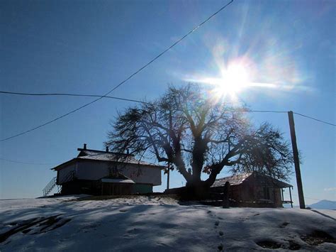 Bijli Mahadev Temple, Kullu - Entry Fee, Visit Timings, Things To Do ...