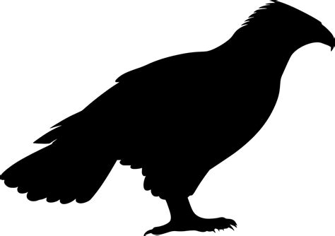 SVG > falcon bird - Free SVG Image & Icon. | SVG Silh