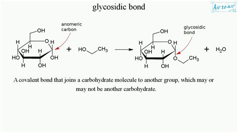 glycosidic bond - YouTube